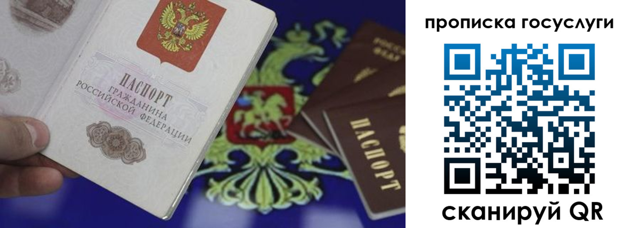 регистрация для школы в Торопеце